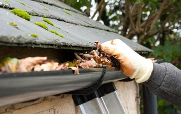 gutter cleaning Hardway