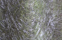 Hardway fibreglass roof work